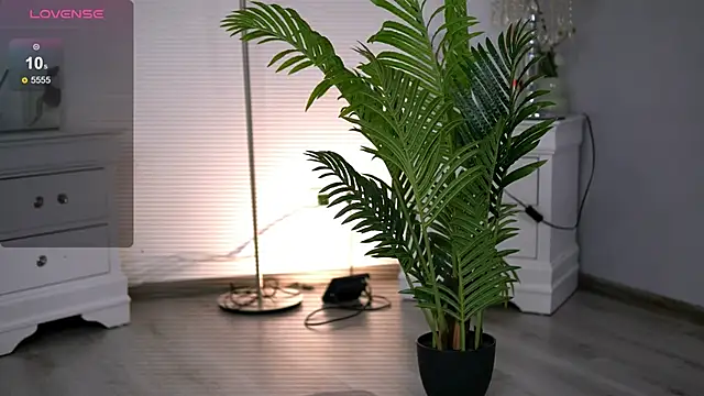 HotMollyX online show from January 2026 05:58:02 AM