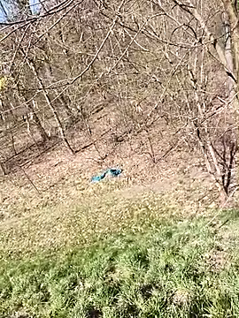 kot766 online show from April 2026 11:23:02 AM