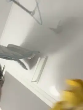 hiromu53 online show from December 2025 12:15:01 PM