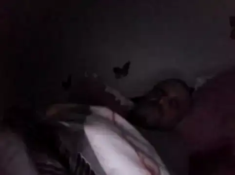 Hisnimin online show from February 2026 03:59:02 AM