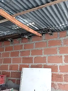 Snapshot of hoteder chatting on December 2025 12:51:01 PM hoteder online show from December 2025 12:51:01 PM