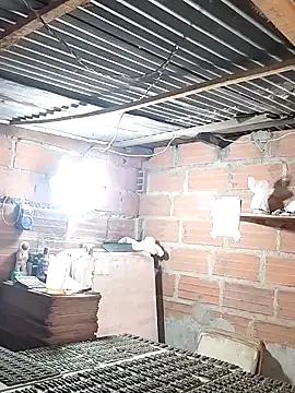 hoteder online show from December 2025 12:42:02 PM