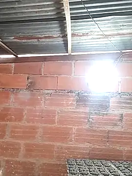 hoteder online show from March 2026 01:45:02 PM