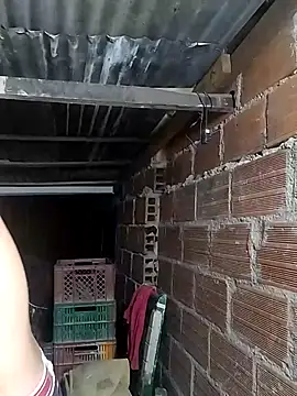 hoteder online show from February 2026 10:37:01 AM