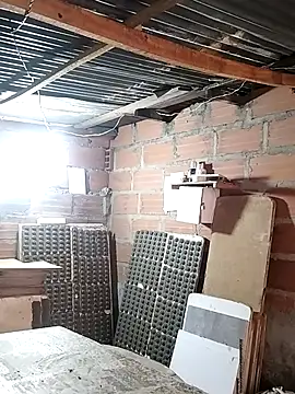 hoteder online show from January 2026 12:31:02 PM