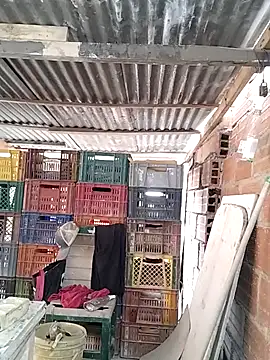 hoteder online show from February 2026 12:37:01 PM