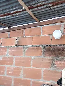 hoteder online show from January 2026 03:15:01 PM