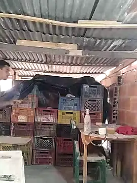 hoteder online show from March 2026 12:38:01 PM