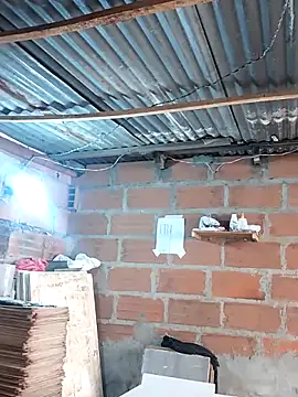 hoteder online show from December 2025 01:27:01 PM