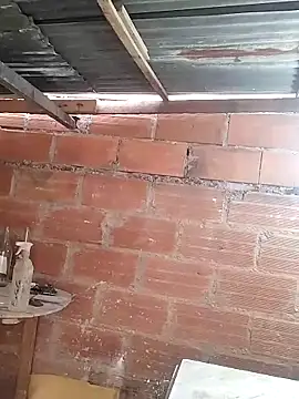 hoteder online show from March 2026 12:27:02 PM