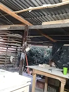 hoteder online show from March 2026 11:13:01 AM