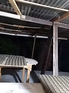 Snapshot of hoteder chatting on November 2025 11:16:01 PM hoteder online show from November 2025 11:16:01 PM