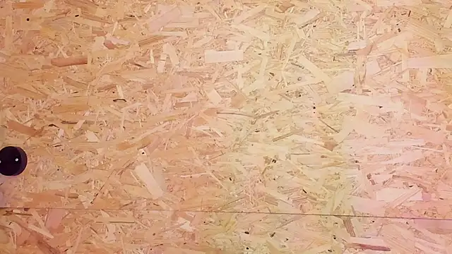 santiblack7 online show from October 2025 07:34:02 PM