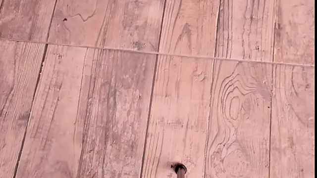 Snapshot of ZYZZ1312 chatting on December 2025 09:06:02 PM ZYZZ1312 online show from December 2025 09:06:02 PM