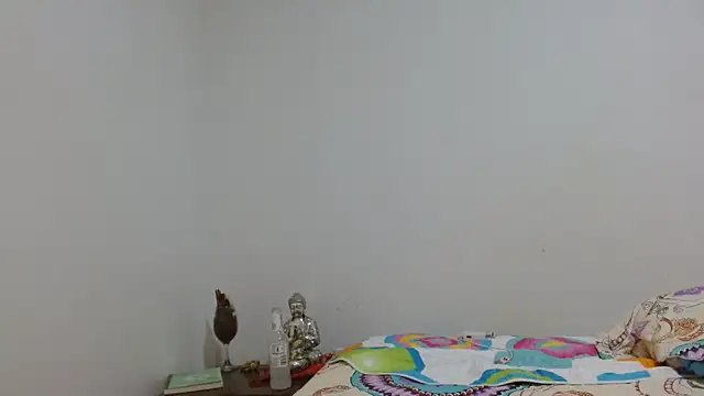 naiaratobon   online show from February 2026 03:48:02 AM