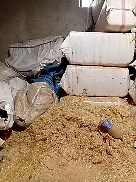 ezgi2545 online show from April 2026 10:44:02 AM