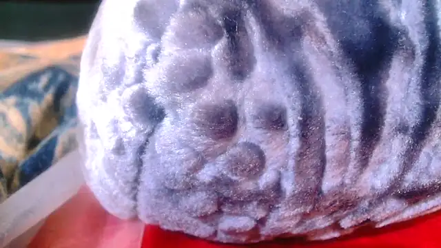 Sexy PureFire online show from November 2025 03:53:02 AM