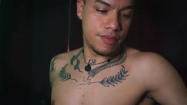 AlphaMasterXxx online show from February 2026 07:25:01 PM