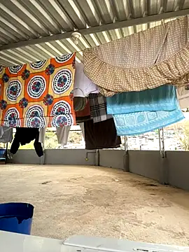 Morenocasado34liberal online show from November 2025 12:31:01 PM