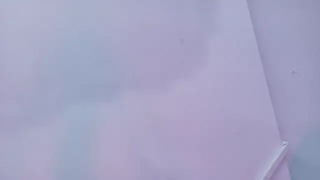 Lizbeth Rouse online show from November 2025 01:44:02 PM