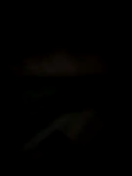 Lizbeth Rouse online show from December 2025 11:16:01 AM