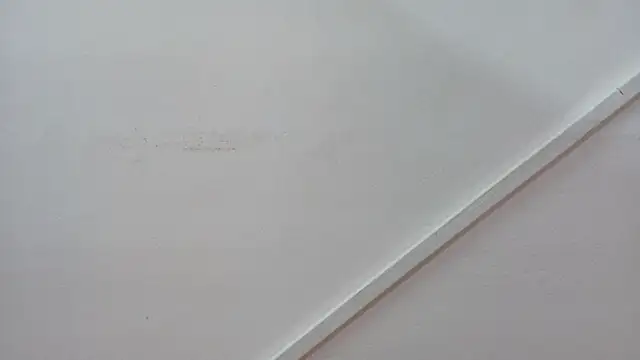 Lizbeth Rouse online show from October 2025 01:00:01 PM