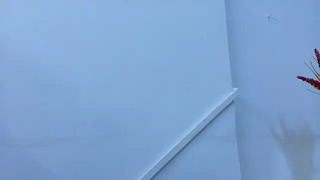 Lizbeth Rouse online show from November 2025 11:25:01 AM