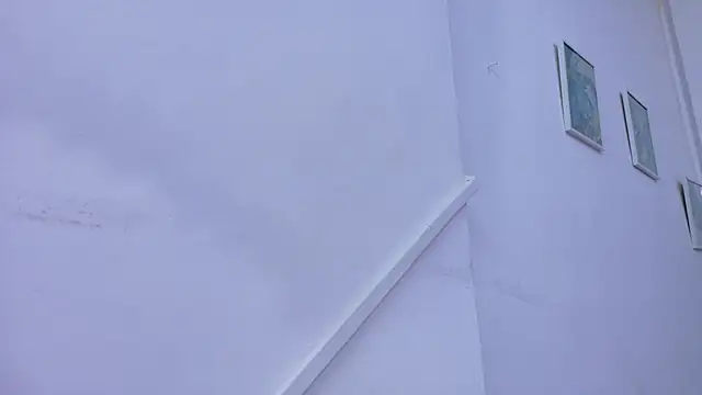 Lizbeth Rouse online show from November 2025 11:14:02 AM