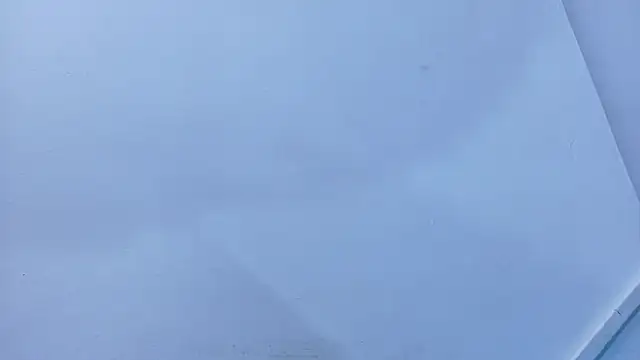 Lizbeth Rouse online show from November 2025 11:14:02 AM