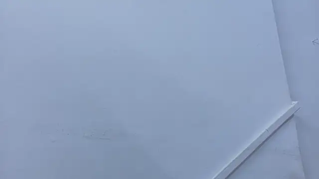 Lizbeth Rouse online show from November 2025 11:37:02 AM