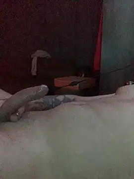 Snapshot of o-theus chatting on October 2025 05:17:01 AM o-theus online show from October 2025 05:17:01 AM