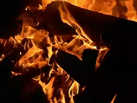 parca13 online show from November 2025 05:00:02 AM