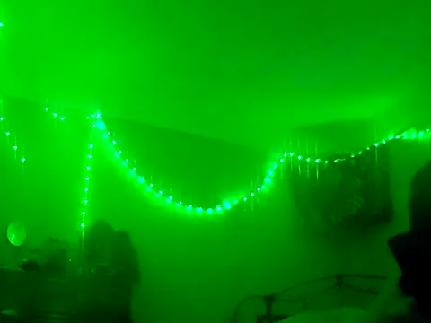 puddled wonderland online show from November 2025 08:48:02 AM