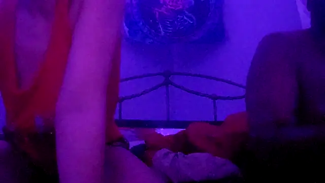 puddled wonderland online show from November 2025 07:01:01 AM