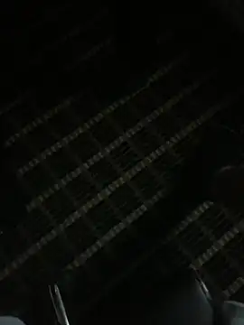 Dallasbest214 online show from February 2026 01:52:02 PM