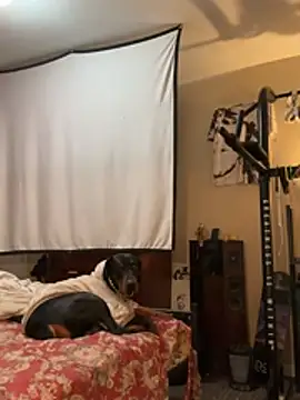 KeYBuMp323 online show from February 2026 04:56:01 AM