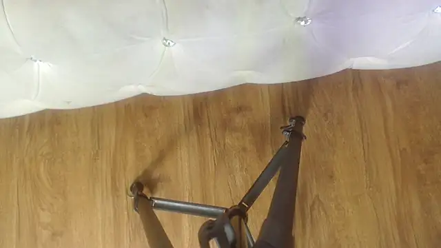 RylieRoss online show from November 2025 01:33:01 PM