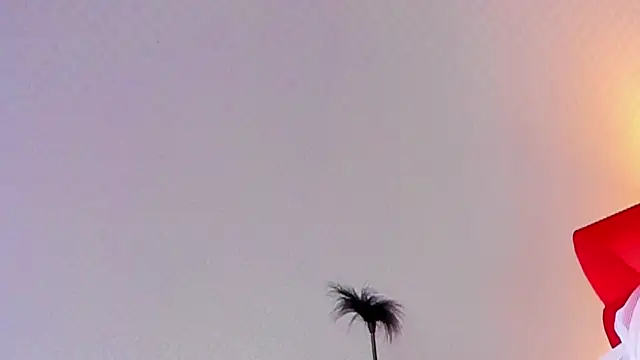 Lillie Berry online show from October 2025 04:44:01 AM