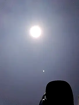 bobothehobo online show from October 2025 11:18:01 AM