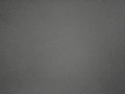 misticamey online show from February 2026 03:14:01 PM