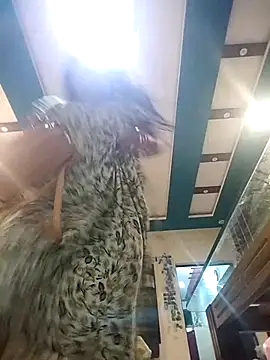 Cute-Janvi20 online show from April 2026 04:04:02 PM