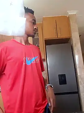 gemini loops online show from January 2026 08:10:02 AM