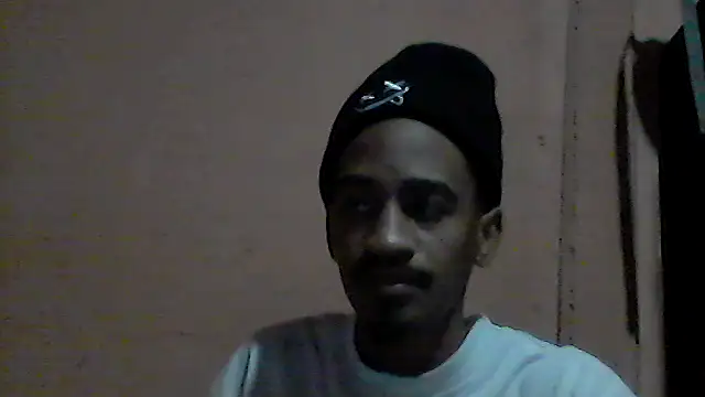 gemini loops online show from July 2026 08:13:01 AM
