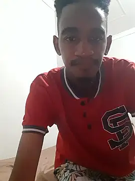 gemini loops online show from January 2026 07:39:02 PM