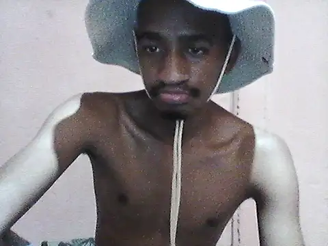 gemini loops online show from April 2026 12:34:01 PM