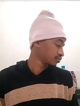 gemini loops online show from November 2025 06:56:02 PM