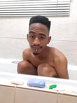 gemini loops online show from November 2025 06:22:02 PM