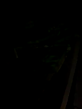 sr dias online show from November 2025 08:51:01 AM