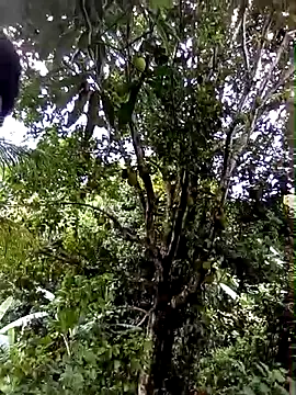 moreno25centimetro online show from February 2026 02:01:02 PM