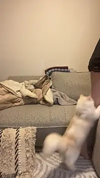 misa mo online show from April 2026 01:07:02 PM